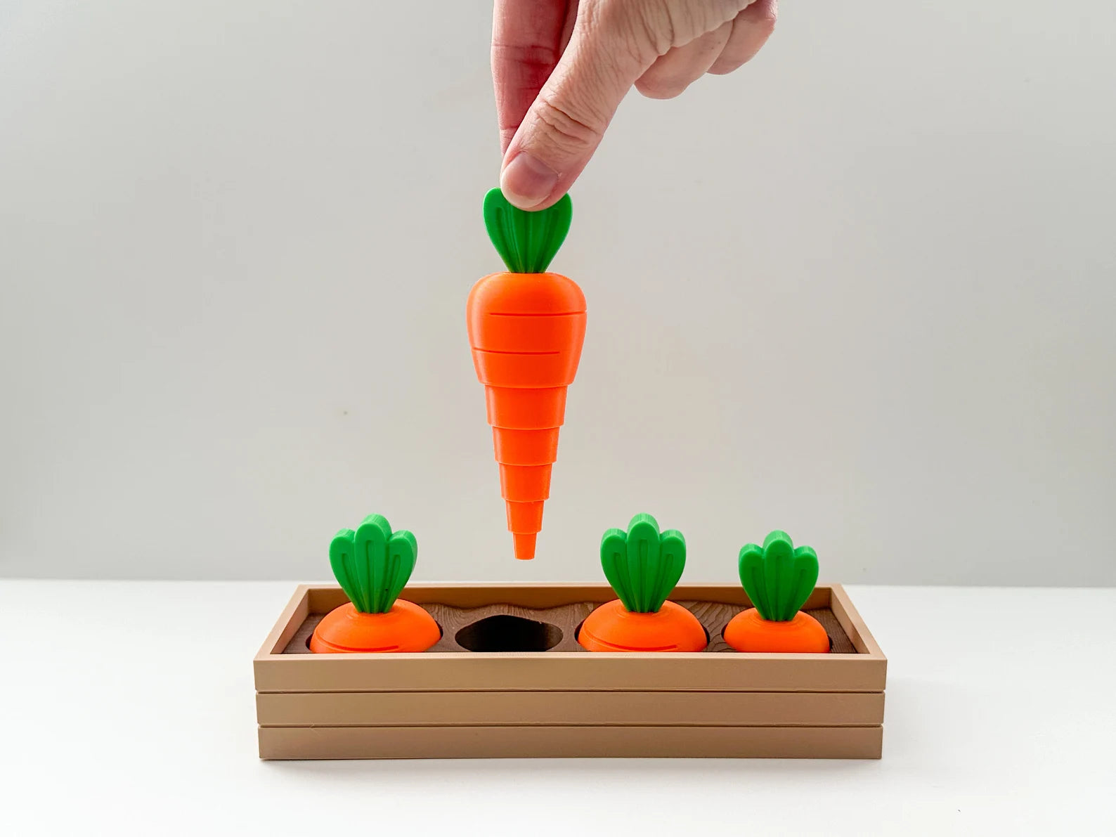 3D Printed Carrot Sorting Toy